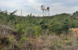 County Road 94, Grenada, MS 38901