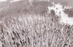 L21.126 Roosa Road, Canisteo, NY 14823