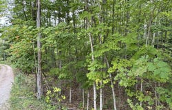E Old Mountain Road lot: 4, Cedar, MI 49621