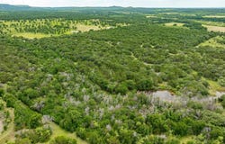 Tbd County Road 109, Mingus, TX 76463