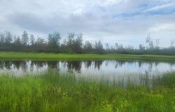 15135 M-32, Lachine, MI 49753