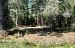 Elm Street lot: 2, Belhaven, NC 27810