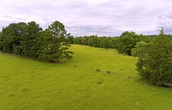 1 FM 323, Elkhart, TX 75839