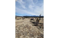 000 E Path, Cotopaxi, CO 81223