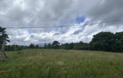 Tower Rd, Grandview, TN 37337
