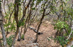 553 W RASPBERRY PATCH Rd, Garden City, UT 84028