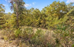 Lot 24 Peaceful  PL, Harrison, AR 72601