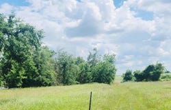 12124 Fm 2159, Calvert, TX 77837