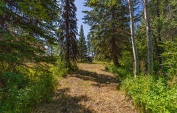 12982 Ponderosa Drive, Donnelly, ID 83615