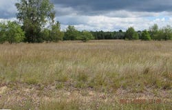 276 GROUSE DRIVE, KALKASKA, MI 49646