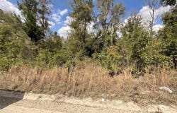 OLD SPANISH RD ROAD SW, FORT WHITE, FL 32038