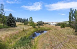 1163 N Almon Street, Moscow, ID 83843