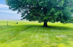 1600 Lakeview Heights, Pittsfield, IL 62363