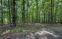 Snode Street NE, Alliance, OH 44601