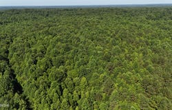 00 Old Hwy 69 & Hog Creek Rd, Sugar Tree, TN 38380
