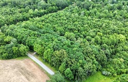 Corner of Co Rd 1075 E & 1700 N, Cisne, IL 62823