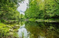 Appleton Ridge Road lot: 88-2, Searsmont, ME 04973