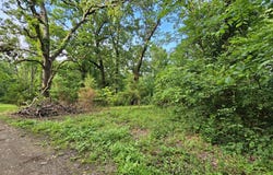 20 Ac Jesse James Road, Pineville, MO 64856