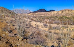 33497 Ocotillo Ave, Terlingua, TX 79852