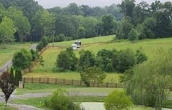 169 Williams Lane Lane, Rogersville, TN 37857