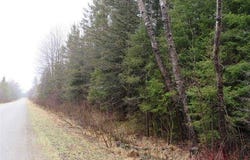 TBD Friday - Q.1 Road, Rapid River, MI 49878