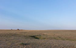 48020 County Road 41, Nunn, CO 80648