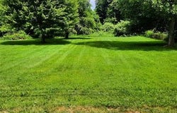 40880 Harris Road, Belleville, MI 48111