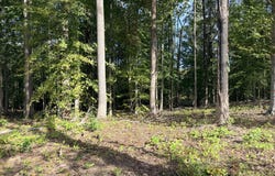 COMPASS Cove lot: 71, MINERAL, VA 23117