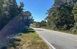 Highway 165, Fort Mitchell, AL 36865