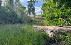 51+/- South Hwy 431, Eufaula, AL 36027