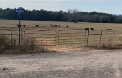 TBD Winds Road, Ozark, AR 72949