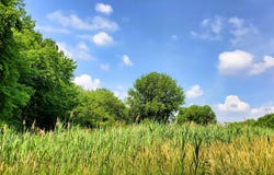 10010 Kennedy Avenue, Highland, IN 46322