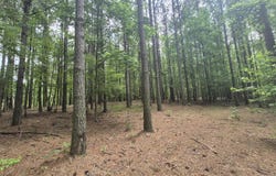 0 Raulston Falls Road, Jasper, TN 37347