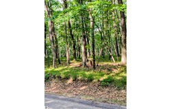 11717 Broken Arrow, Canadian Lakes, MI 49346