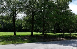County Road 73, Myrtle, MS 38650