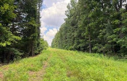 Lot 1 Stroud Lane, Centertown, KY 42328