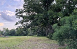 1510 Jimmy Phillips Boulevard, BAILEYS PRAIRIE, TX 77515