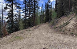 Anglo Saxon #4 CR 61, Silverton, CO 81433