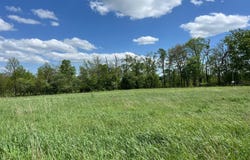CHERRY RIDGE ROAD, MOUNT STORM, WV 26739