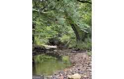 335 Highway 26, Elko, GA 31025