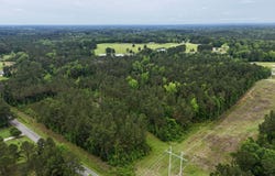 0000 Mount Carmel Road, Daleville, MS 39326