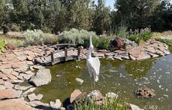 100 W. Gunsmoke Way, County Rd 241, Alturas, CA 96101