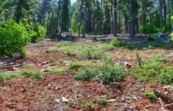 7420 Henness Ridge Road, Yosemite West, CA 95389