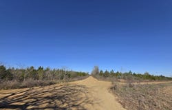 0 Chestnut Rd, Slocomb, AL 36375