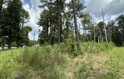 0 Cane Market Rd., Walker, LA 70785