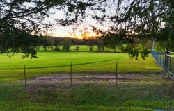CR 516, Rienzi, MS 38865