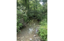 781 Apple Lane, Cynthiana, KY 41031