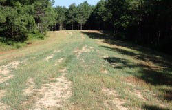 0 Highway 82 East, Centreville, AL 35042