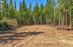 Nka Wandering Wolf Ridge, Lot 3, Clark Fork, ID 83811