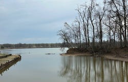 106 Murphy Rd, SARDIS, MS 38666